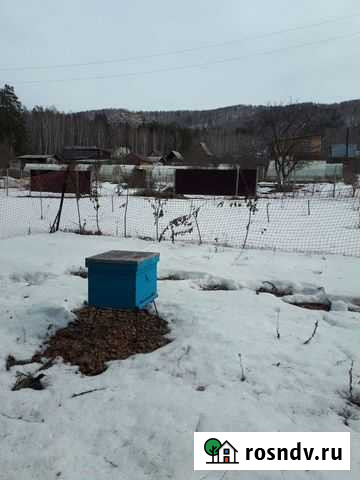 Ульи для пчел Миасс - изображение 1