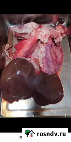 Корм для собак Кишки Бабаюрт - изображение 1