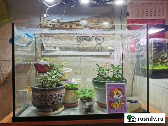 Аквариум Долгопрудный - изображение 1