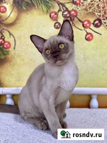 Бурманская Набережные Челны - изображение 1