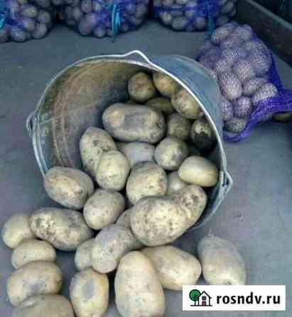 Картофель Топки