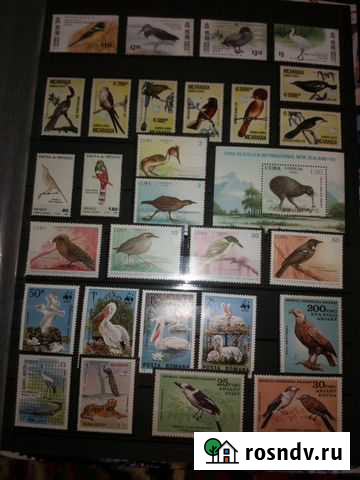 Чистые марки Фауна (птицы) Воронеж - изображение 1