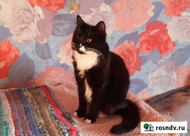 Маркиза ищет дом Тамбов - изображение 1