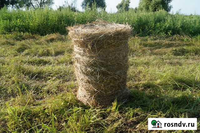 Сено Кимовск - изображение 1