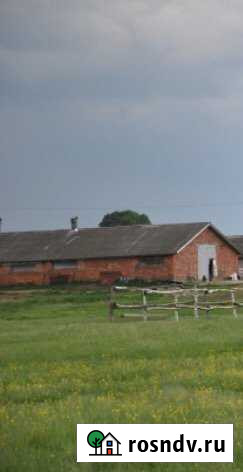 Продам кирпичную животноводческую ферму Жуков - изображение 1