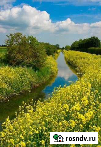 Слушатель Санкт-Петербург - изображение 1