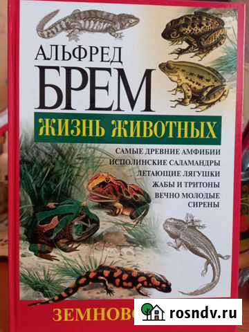 Книги Бор - изображение 1