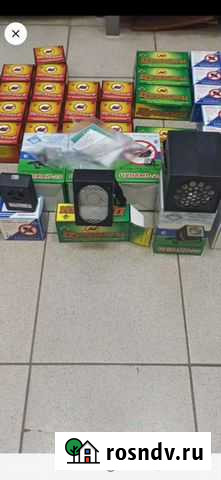 От грызунов Саранск - изображение 1