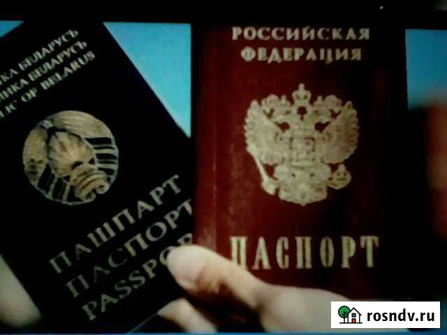 Деловые услуги Белгород - изображение 1