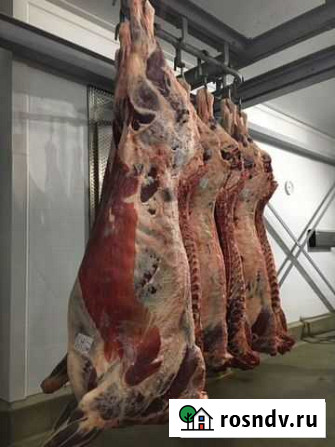 Продам мясо говядина Волосово - изображение 1