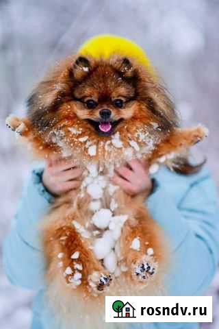 Фотограф Кинешма - изображение 1