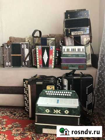 Гармони, баяны, аккордеоны продажа, ремонт Туймазы - изображение 1