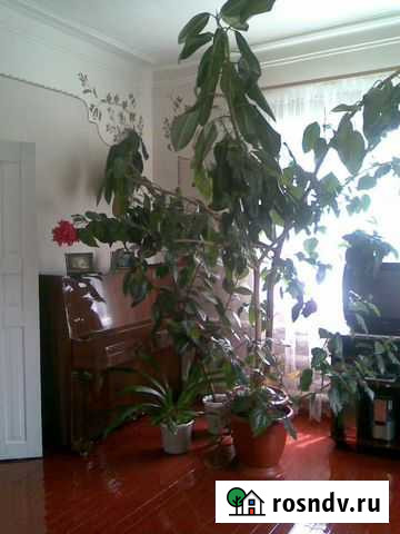 Пианино Усть-Джегута - изображение 1