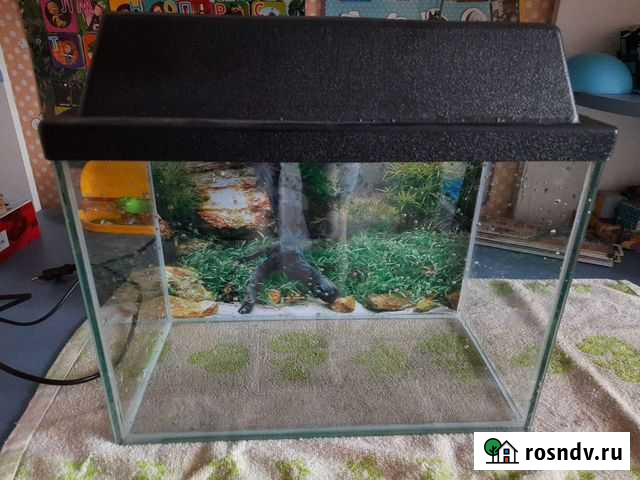 Аквариум Ульяновск - изображение 1