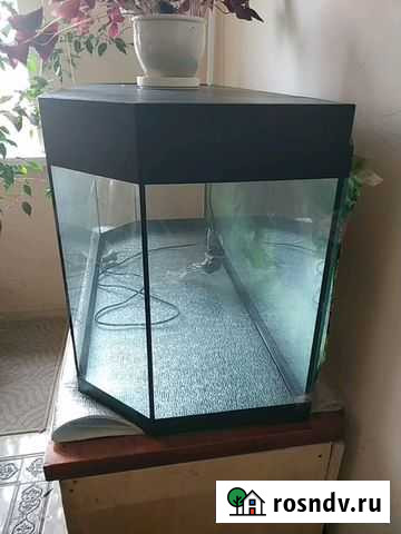 Аквариум Симферополь - изображение 1