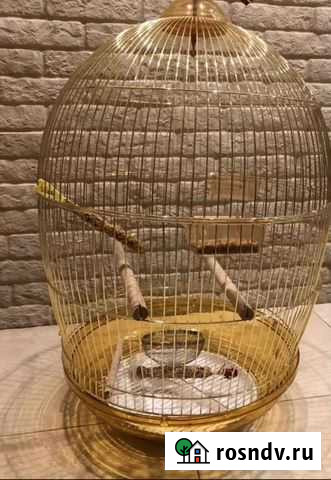 Продам клетку Белгород - изображение 1