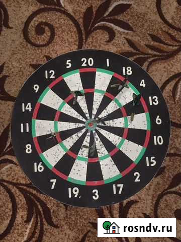 Дартс Саранск - изображение 1