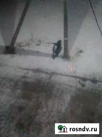 Скутер Среднеуральск - изображение 1