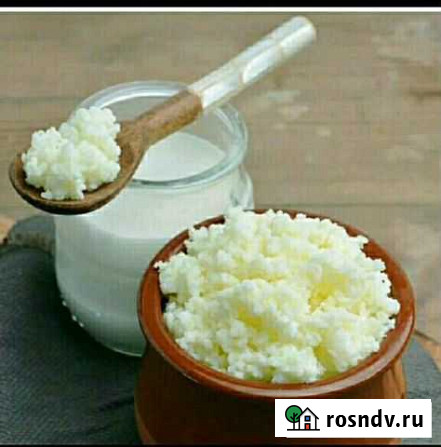 Тибетский молочный (кефирный) гриб Липецк - изображение 1