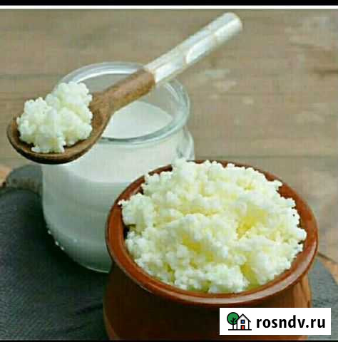 Тибетский молочный (кефирный) гриб Липецк - изображение 1