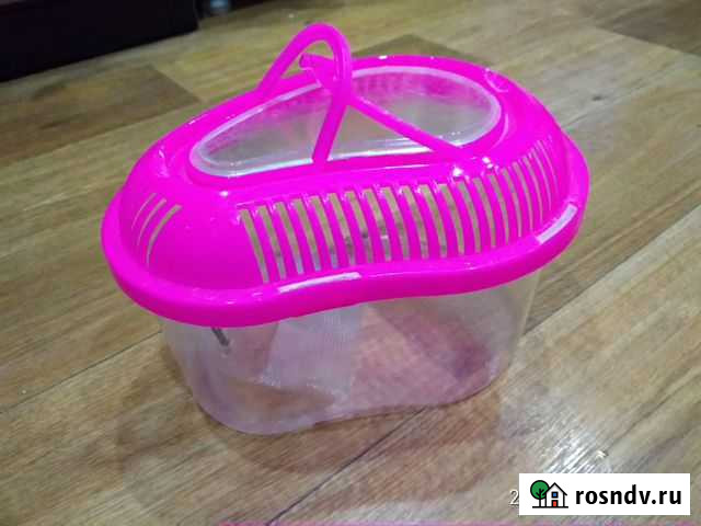 Черепашник Волгодонск - изображение 1