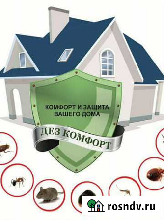 Уничтожение тараканов, клопов, клещей, дезинсекция Хабаровск - изображение 1