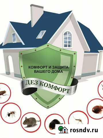 Уничтожение тараканов, клопов, клещей, дезинсекция Хабаровск - изображение 1