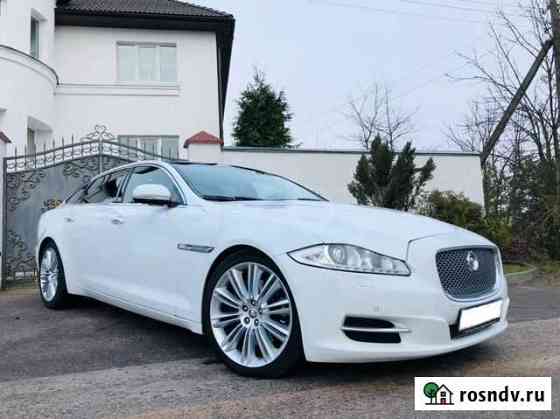 Прокат Флагмана марки jaguar XJ (X 351 ) premium Казань