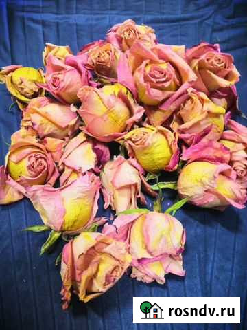 Сухие розы Тверь - изображение 1