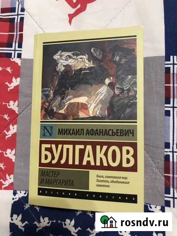 М.А. Булгаков «Мастер и Маргарита» Луга - изображение 1