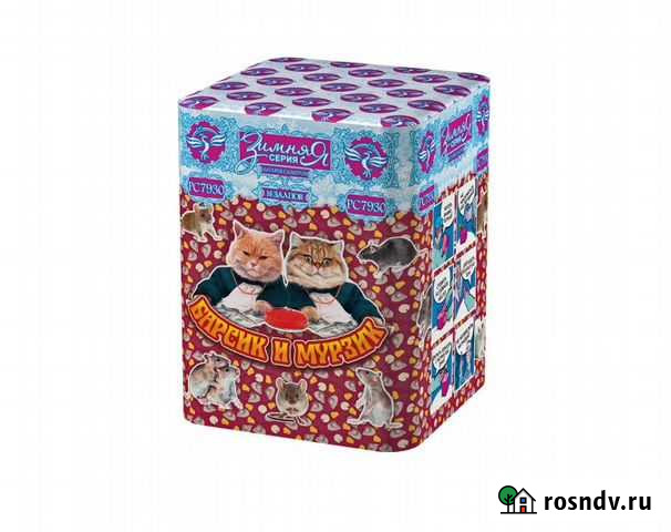 Салют, фейерверк Барсик и Мурзик (1х16) Нижний Новгород - изображение 1