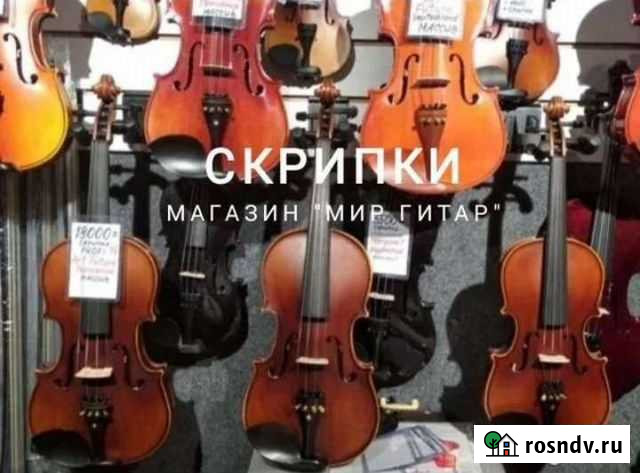 Скрипки Чехия, Германия, Россия Массив Нижний Новгород - изображение 1