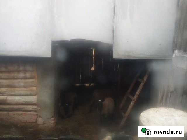 Сено в тюках Моргауши - изображение 1