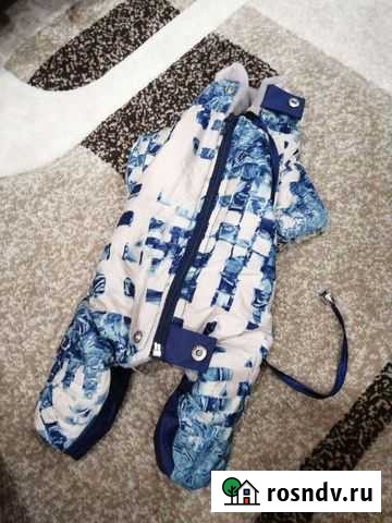 Одежда для мини йорка Наро-Фоминск - изображение 1