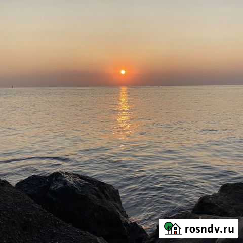 Сожитель Курган - изображение 1