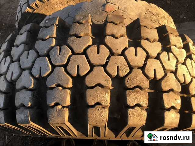 Кто заберёт сегодня хороший торг. Грачёвка - изображение 1