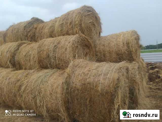 Сено в рулонах Орловский - изображение 1