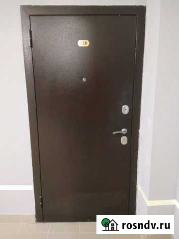 Дверь Пермь - изображение 1