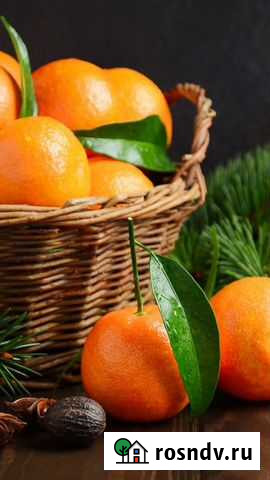 Утки декоративные Северская - изображение 1