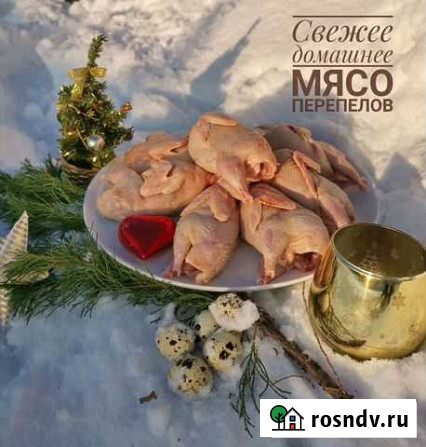 Свежее домашнее мясо перепелов Зеленодольск - изображение 1