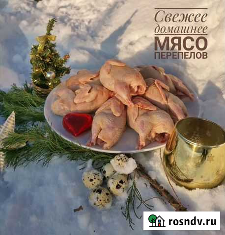 Свежее домашнее мясо перепелов Зеленодольск - изображение 1