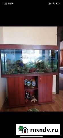 Аквариум Свердловский - изображение 1