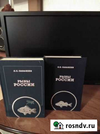 Л,Сабанеев Ярцево - изображение 1