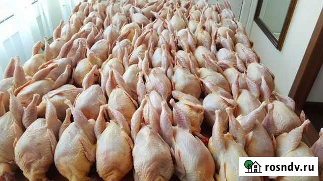 Мясо перепелов Прохладный - изображение 1