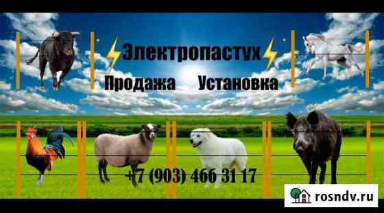 Электро пастух, солнечные панели Абадзехская