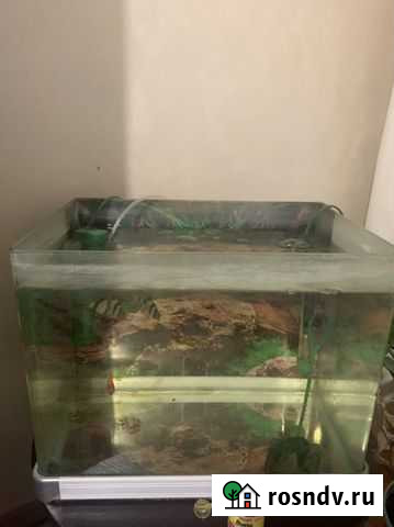 Аквариум Тула - изображение 1
