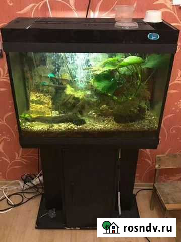 Аквариум Подольск - изображение 1