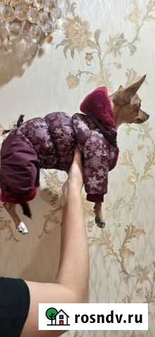 Зимний комбинезон Новый для девочек Симферополь - изображение 1