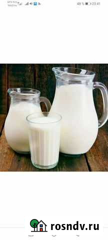 Молоко козье Боголюбово - изображение 1