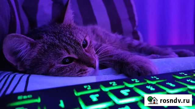 Клавиатура Smartbuy One с подсветкой (чёрная) Березники - изображение 1